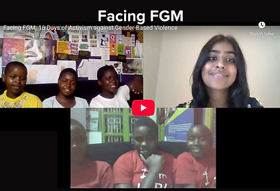 Fellows project 1.jpg